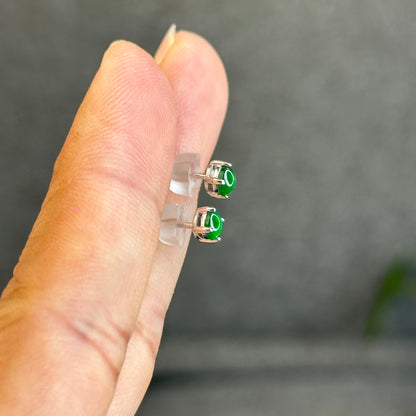 Natural Imperial Jadeite Jade Stud Earrings with S925 Silver Setting