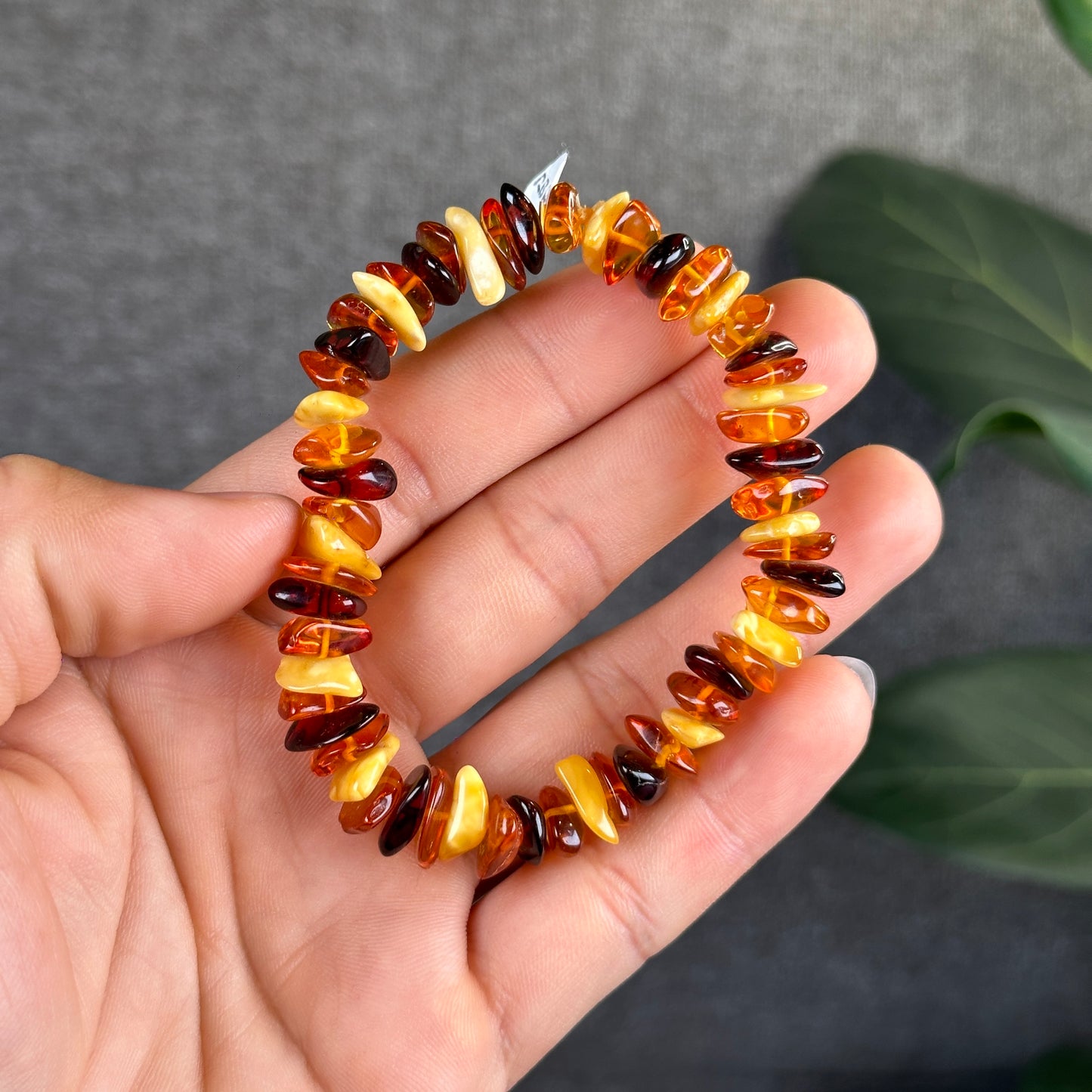 Multi Colour Amber Bracelet Size