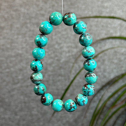 Phoenix Chrysocolla mixed Turquoise Bracelet Size 12 mm