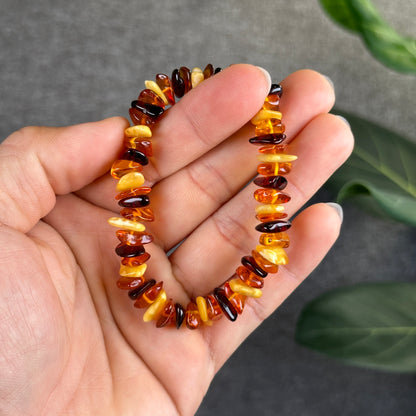 Multi Colour Amber Bracelet Size