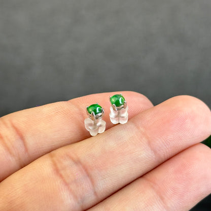 Natural Imperial Jadeite Jade Stud Earrings with S925 Silver Setting