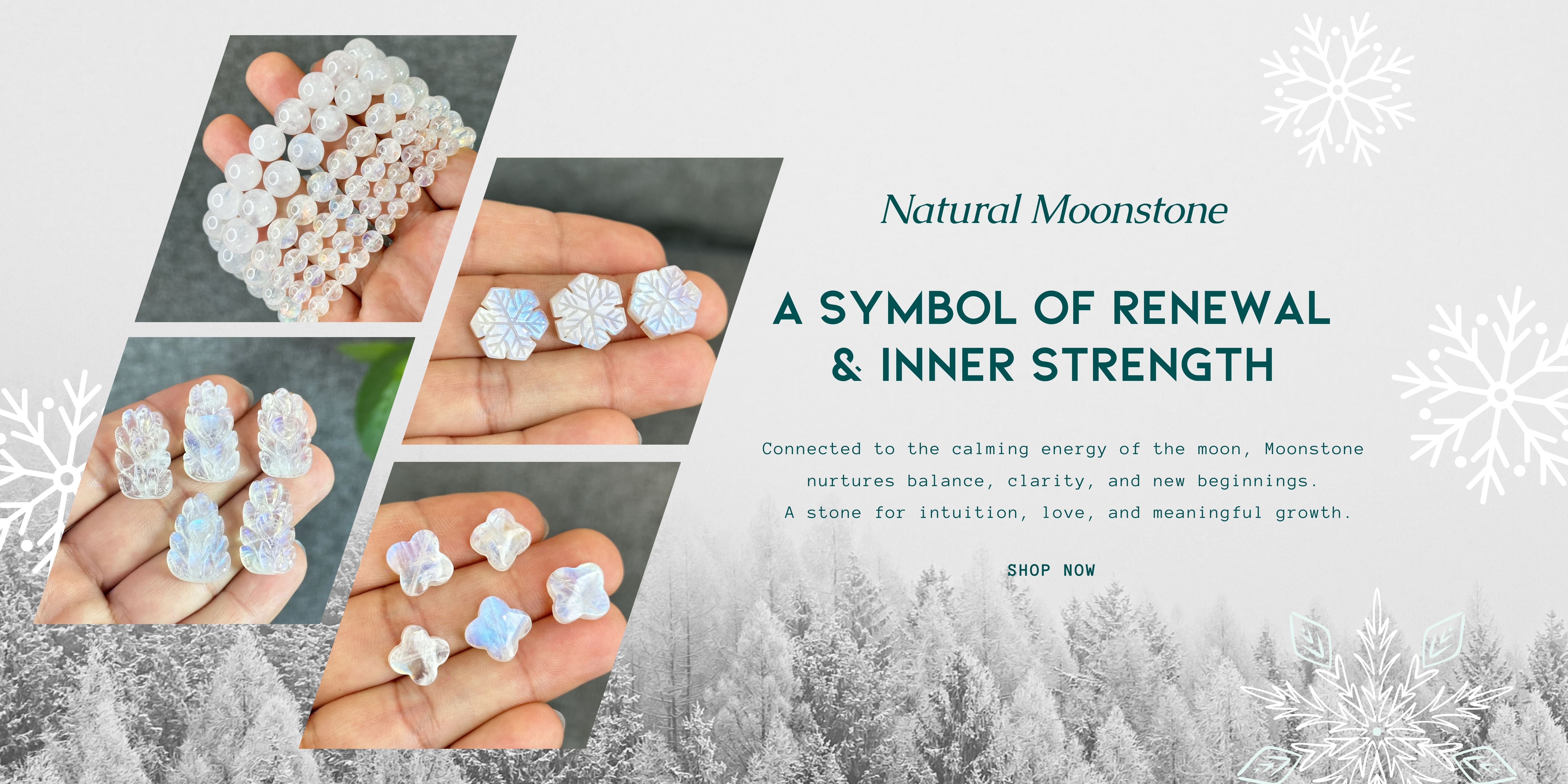 Mountain Jade Inc.