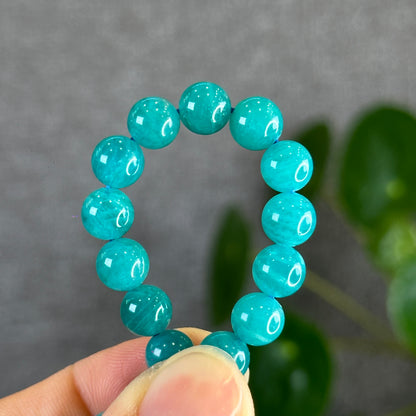 Amazonite Bracelet 7.5 mm