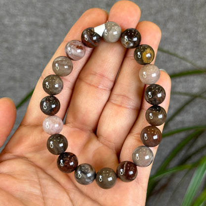 Natural Wood Fossil Bracelet Size 10 mm