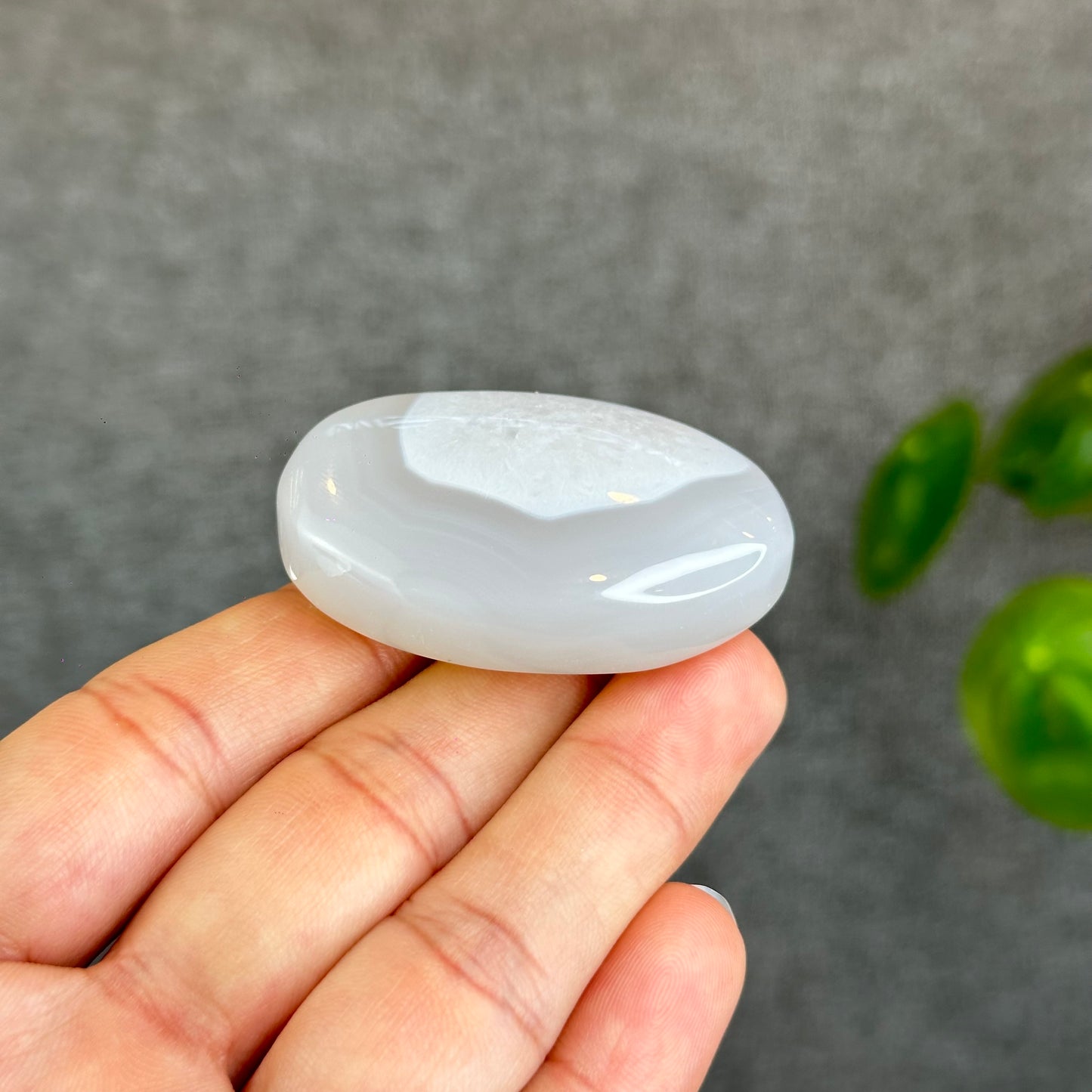 Natural Agate Palm Stone