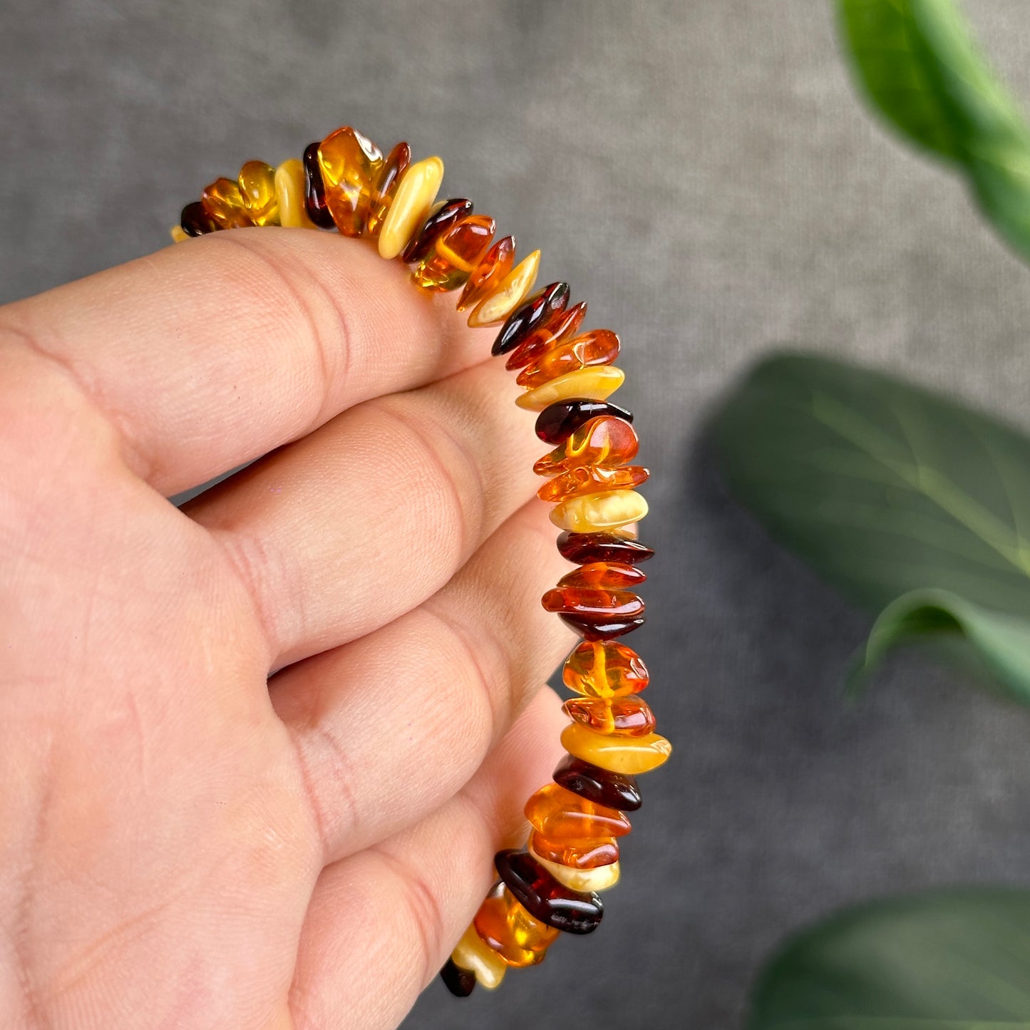 Multi Colour Amber Bracelet Size