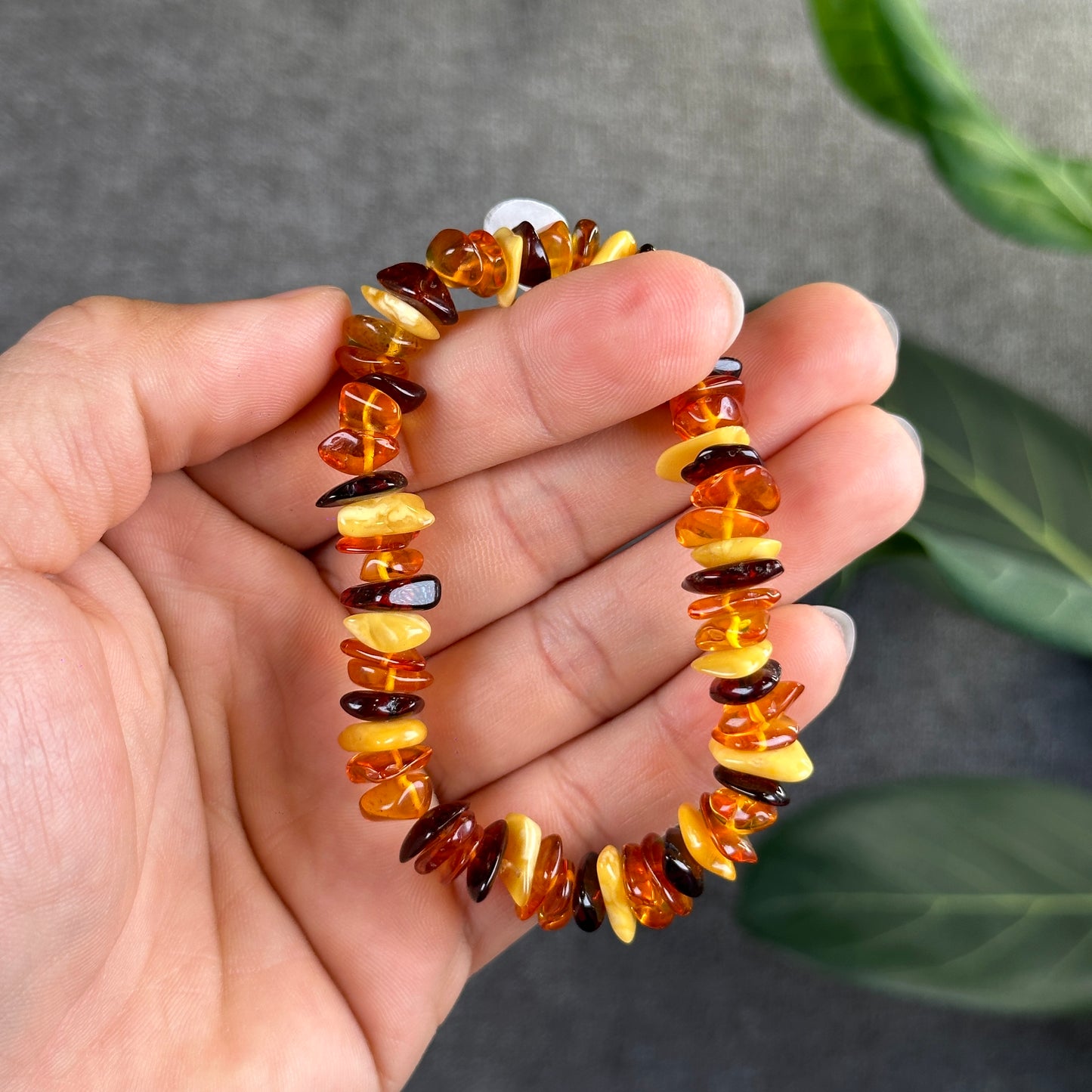 Multi Colour Amber Bracelet Size