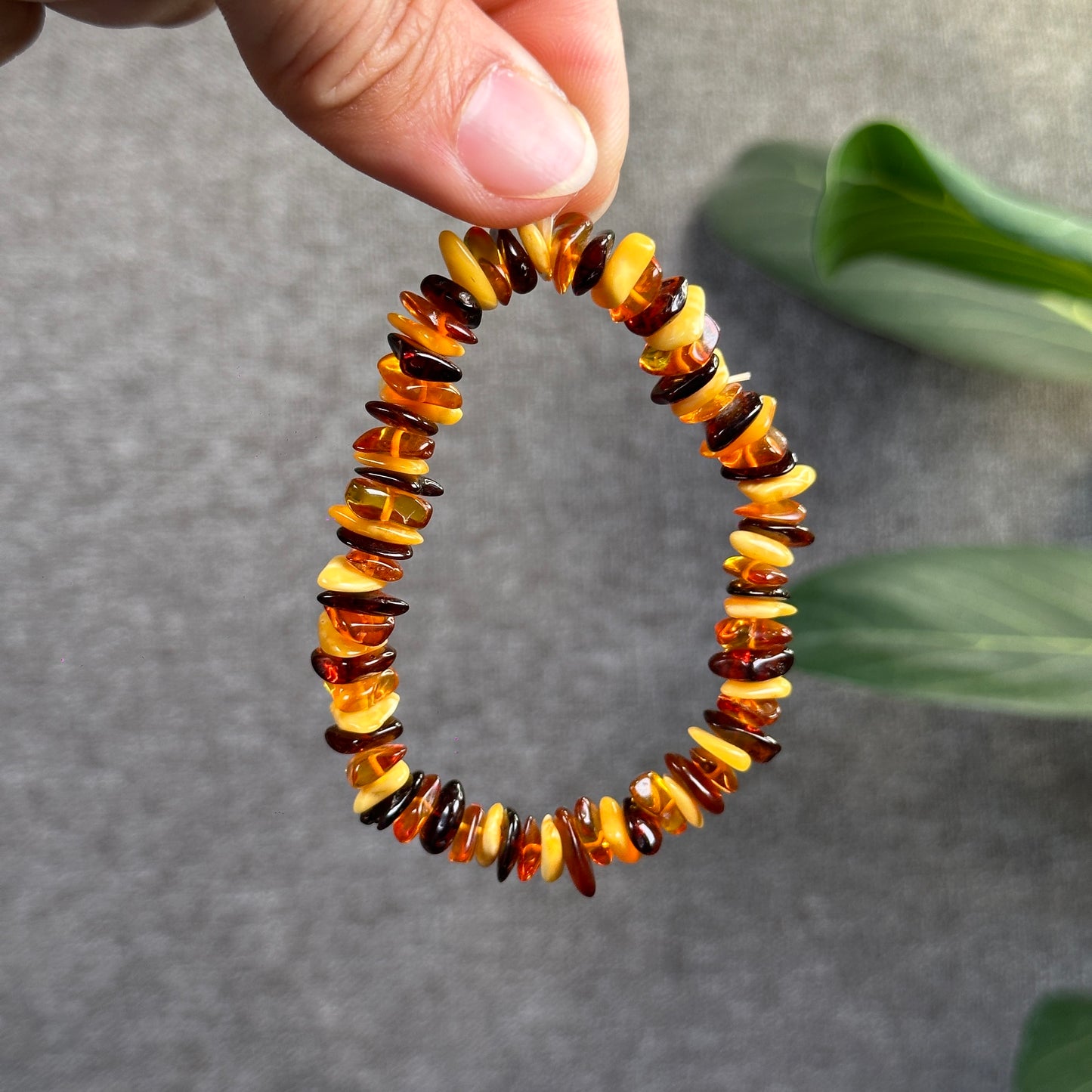 Multi Colour Amber Bracelet Size