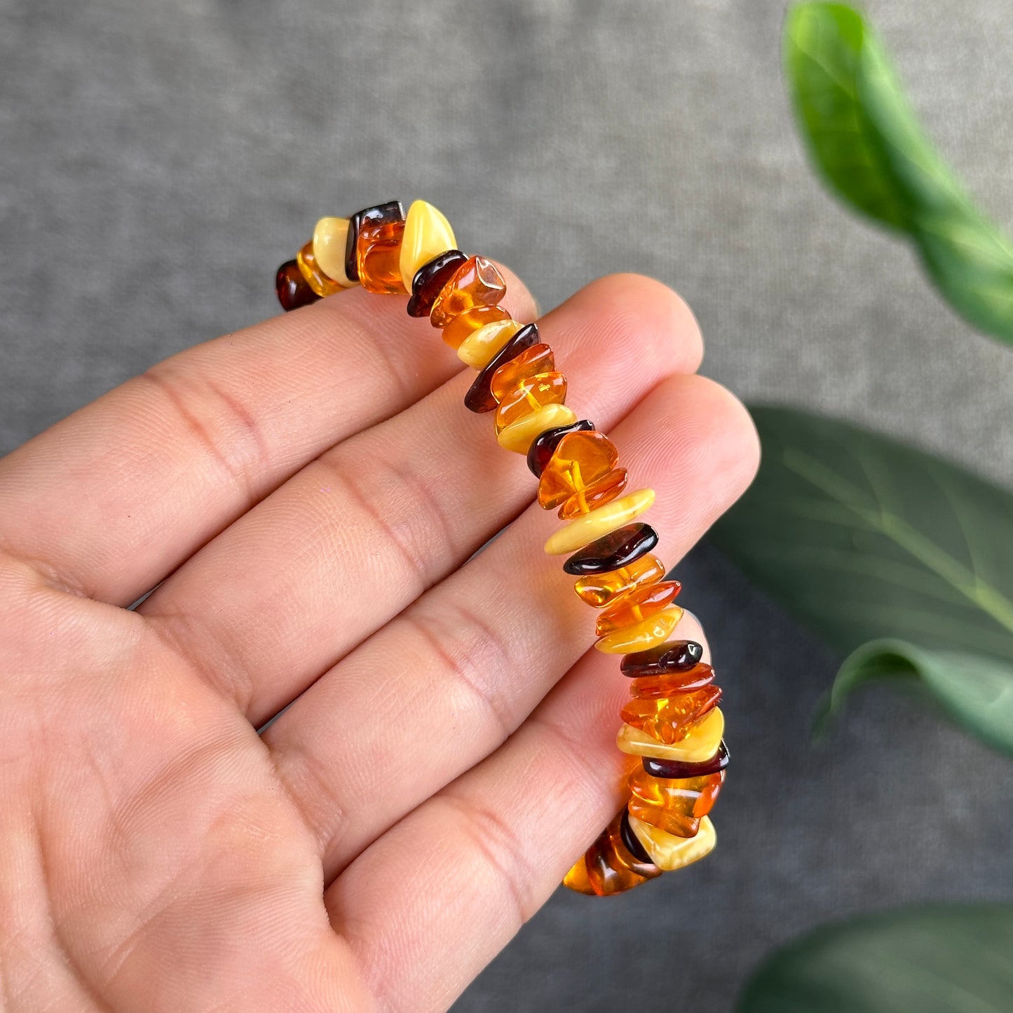 Multi Colour Amber Bracelet Size