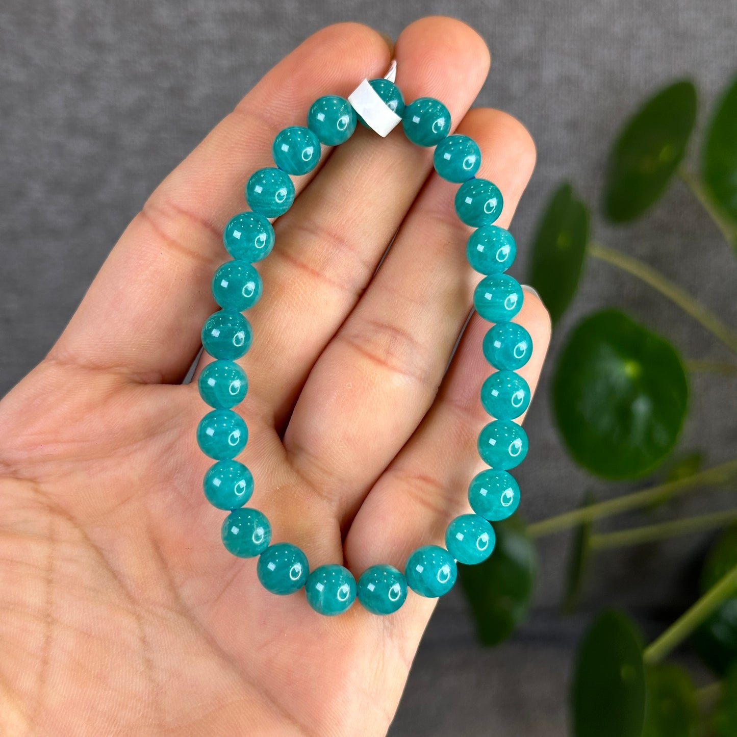 Amazonite Bracelet 7.5 mm