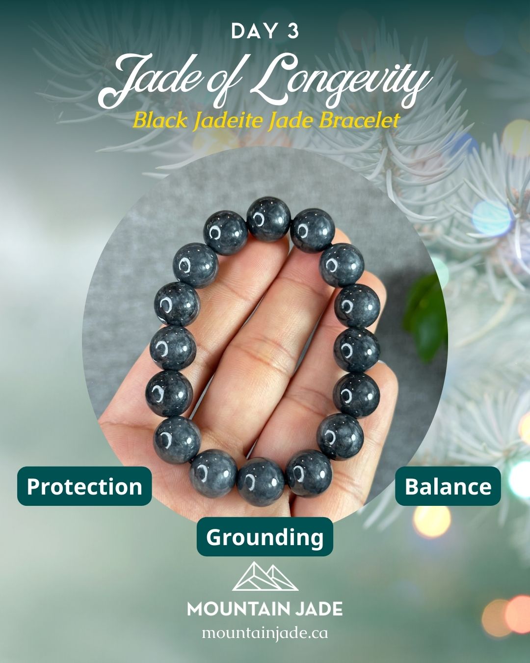 Jade of Longevity - Parents’ Gift Set