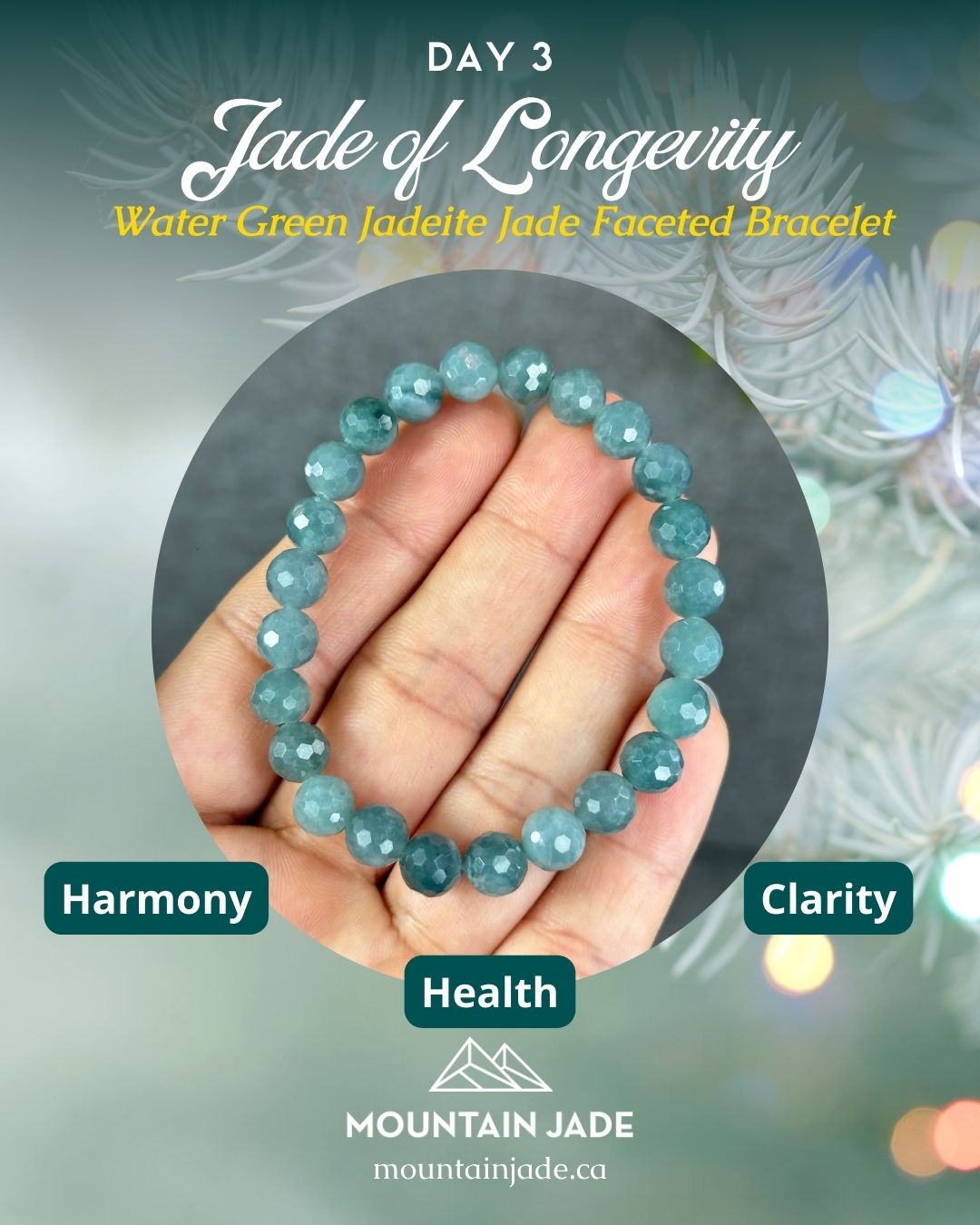 Jade of Longevity - Parents’ Gift Set