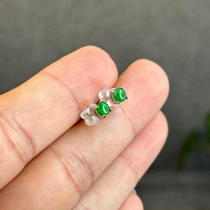 Natural Imperial Jadeite Jade Stud Earrings with S925 Silver Setting