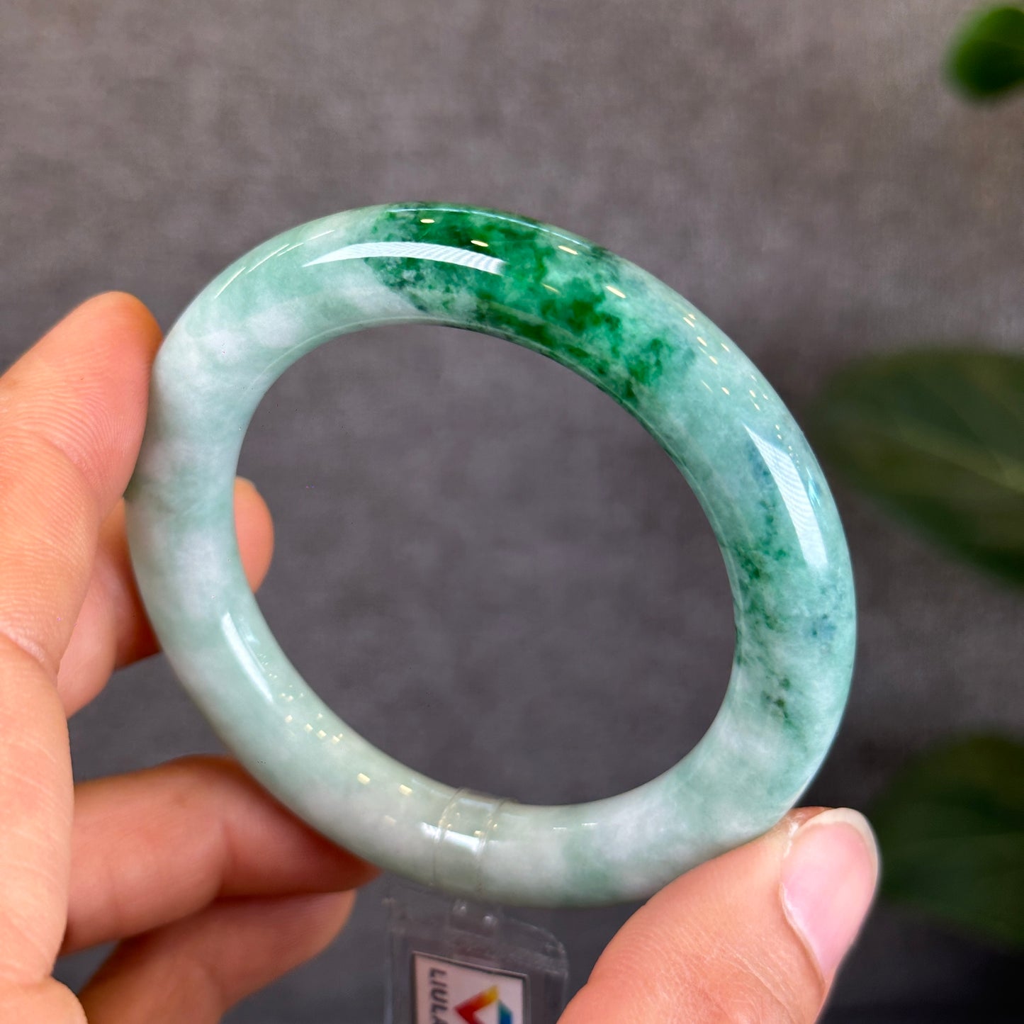 Bright Green Lotus Jadeite Jade Bangle Chopstick Style Size 51 mm with Gem Review Certificate