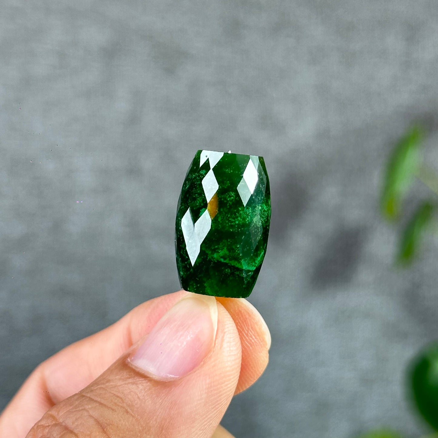 Faceted Lu Thong Nephrite Jade Charm