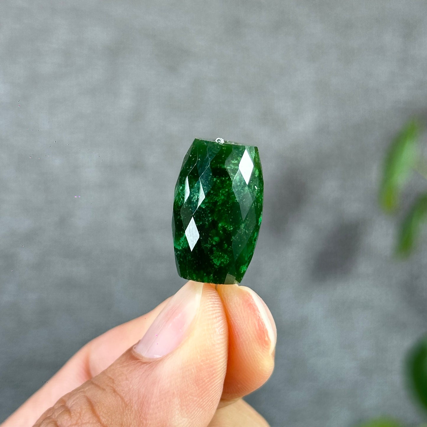 Faceted Lu Thong Nephrite Jade Charm