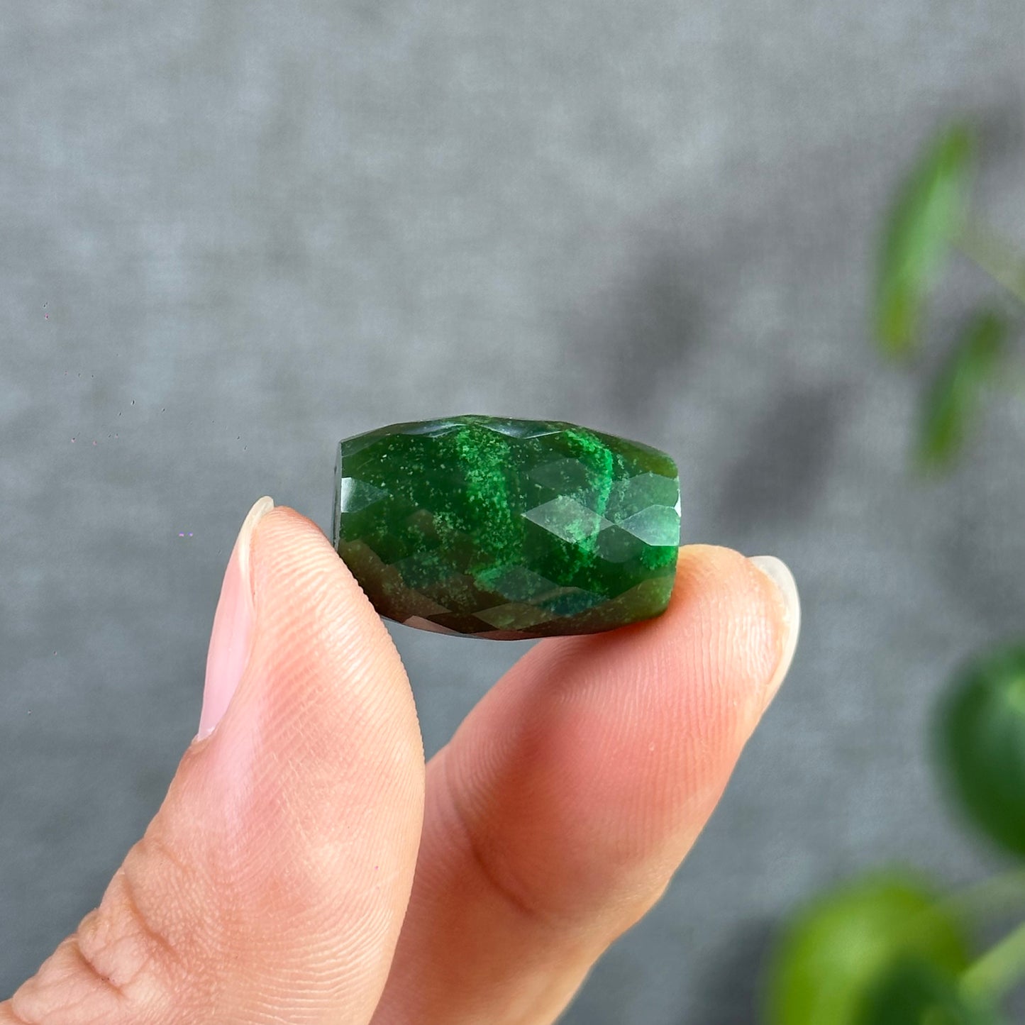 Faceted Lu Thong Nephrite Jade Charm