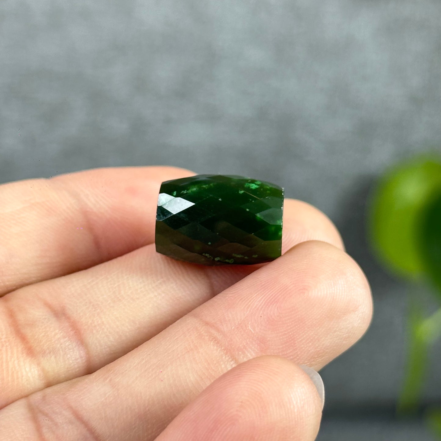 Faceted Lu Thong Nephrite Jade Charm