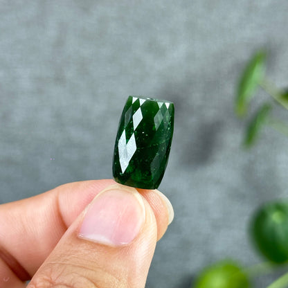 Faceted Lu Thong Nephrite Jade Charm