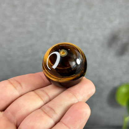 Tiger Eye Sphere