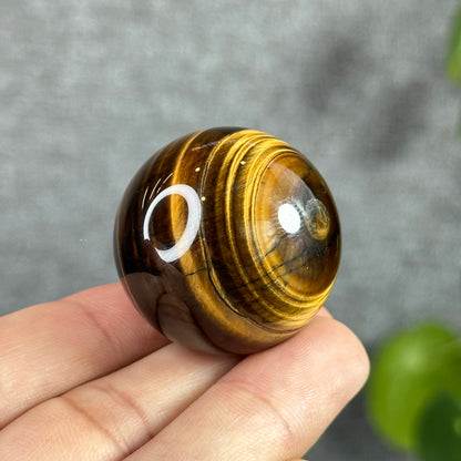 Tiger Eye Sphere