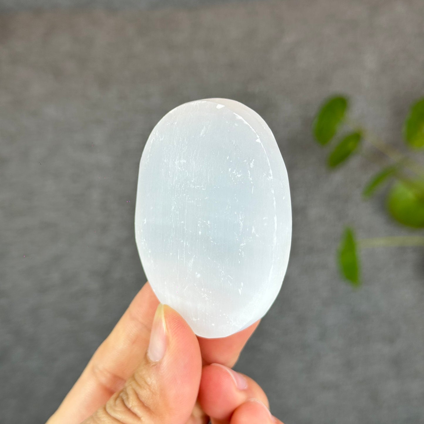 Natural Selenite Palm Stone - Large