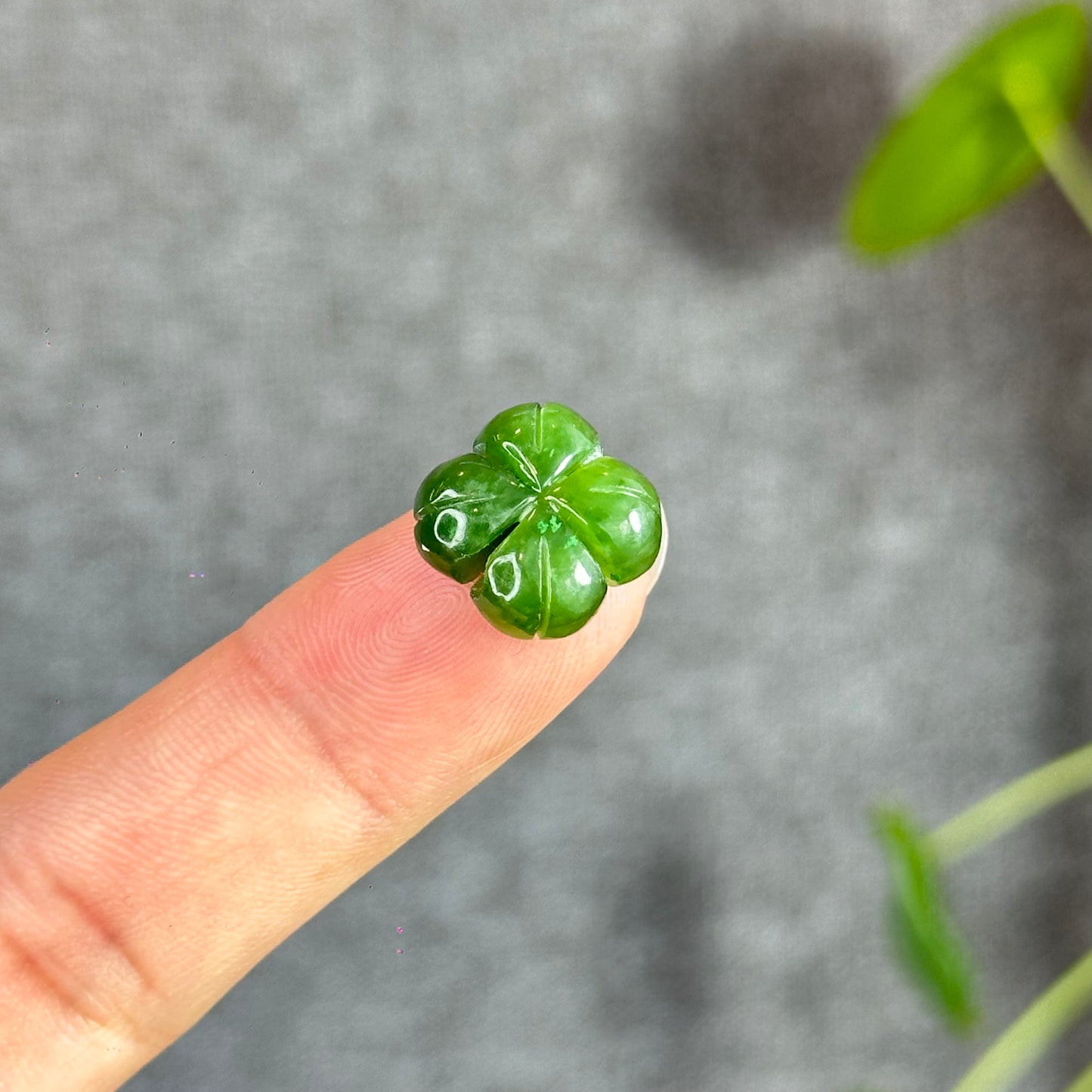 4 Leaf Clover Natural Nephrite Jade Charm