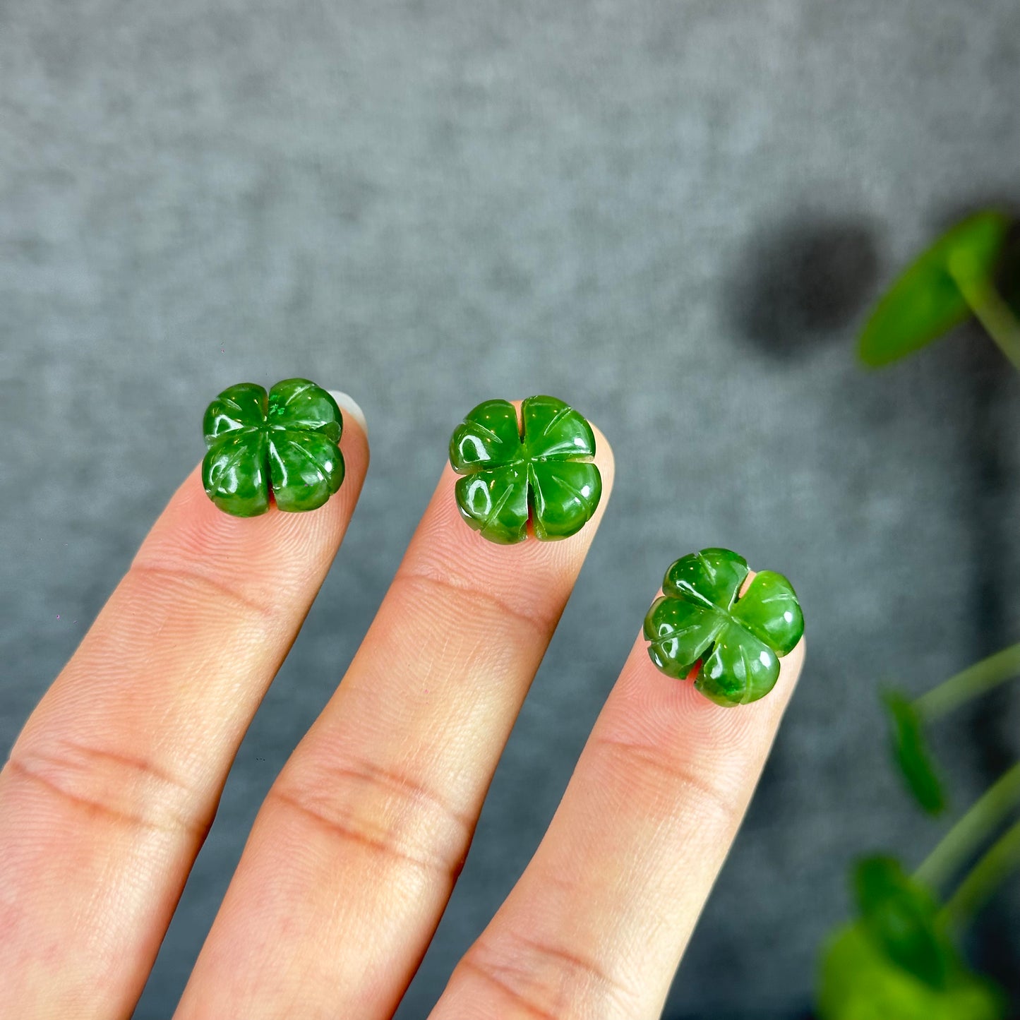 4 Leaf Clover Natural Nephrite Jade Charm