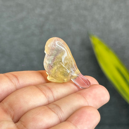 Natural Fluorite Bird Figurine