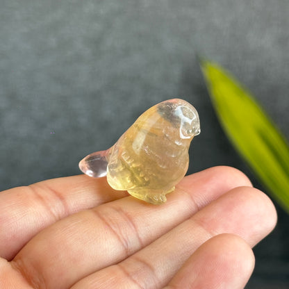 Natural Fluorite Bird Figurine