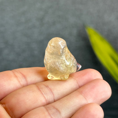 Natural Fluorite Bird Figurine