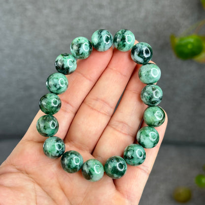 Natural Apple Green Son Thuy Jadeite Jade Bracelet Size 12.5-13 mm