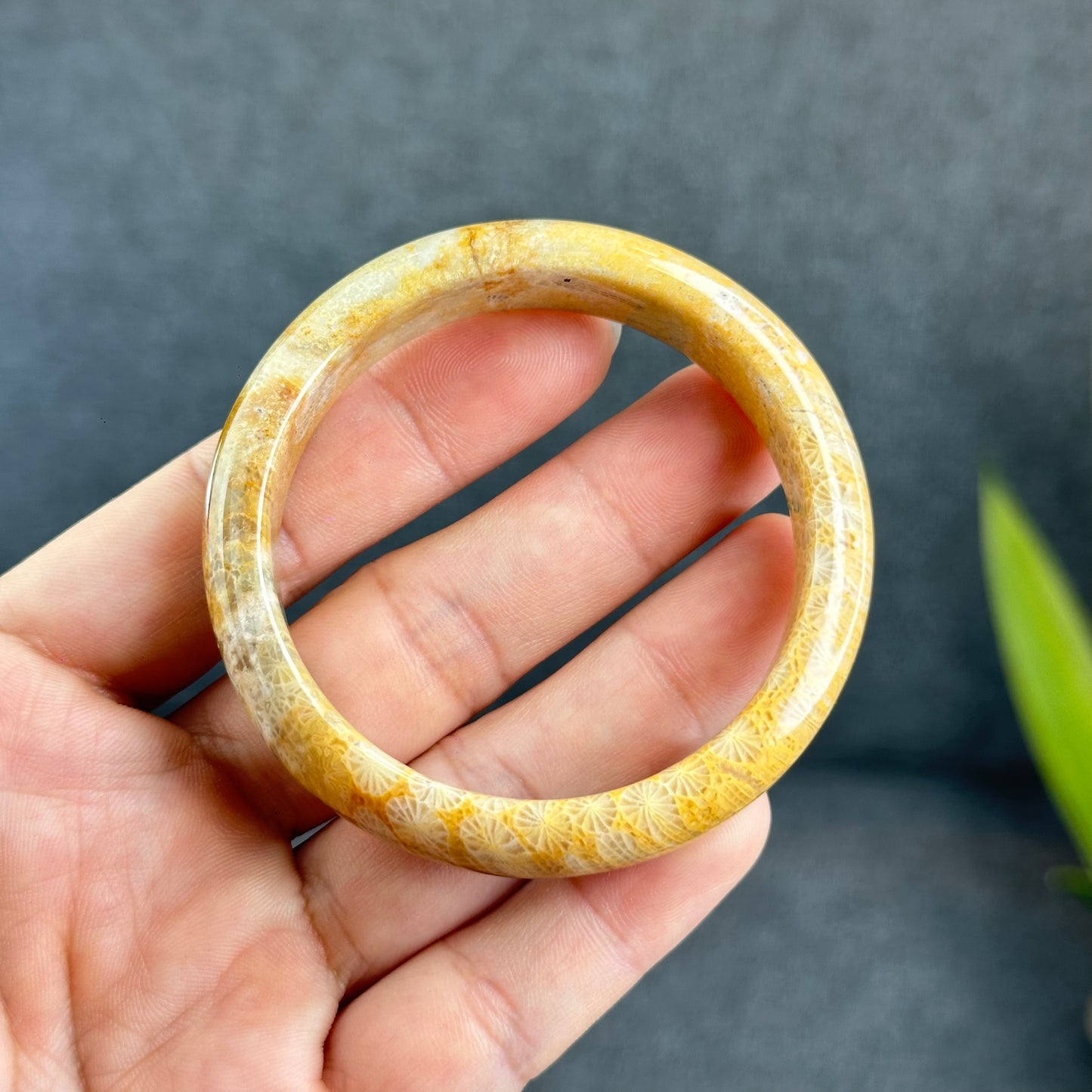 Natural Coral Bangle Leaf Style Size 53 mm