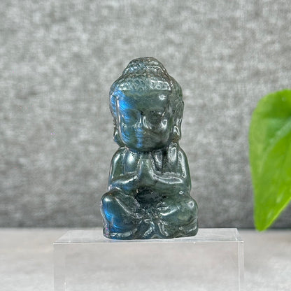 Natural Buddha Blue Flash Labradorite Figurine