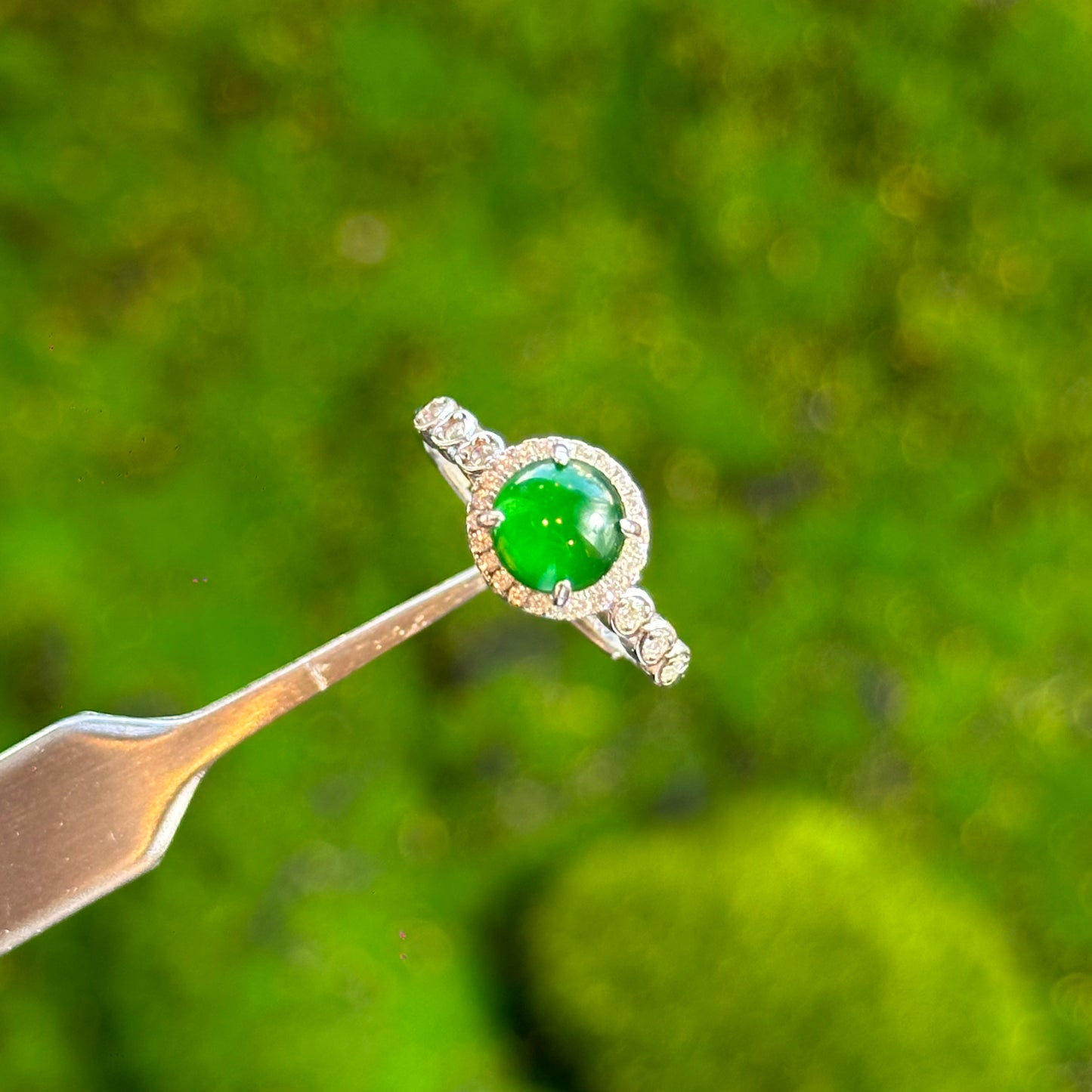 Round Halo Heart Shaped Icy Imperial Green Natural Jadeite Jade Ring Free Size in Silver 925 Setting