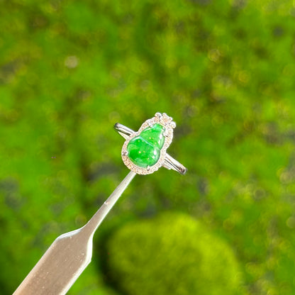 Jade of Green Blessings Bundle - 5