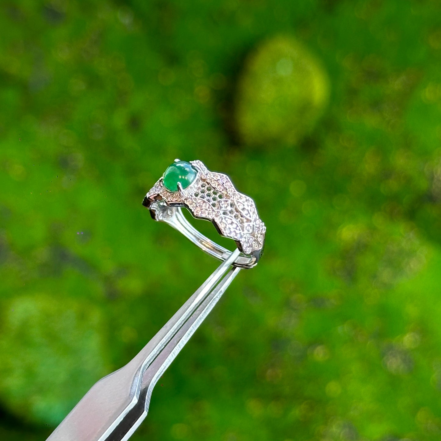 Jade of Green Blessings Bundle - 2