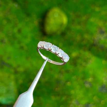 5 Stone Icy Translucent Jadeite Jade Ring in Silver Setting Free size in Silver 925 Setting