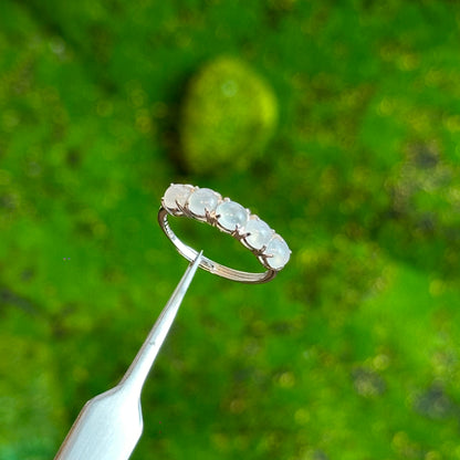 5 Stone Icy Translucent Jadeite Jade Ring in Silver Setting Free size in Silver 925 Setting