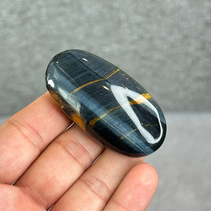 Natural Eagle Eye Palm Stone