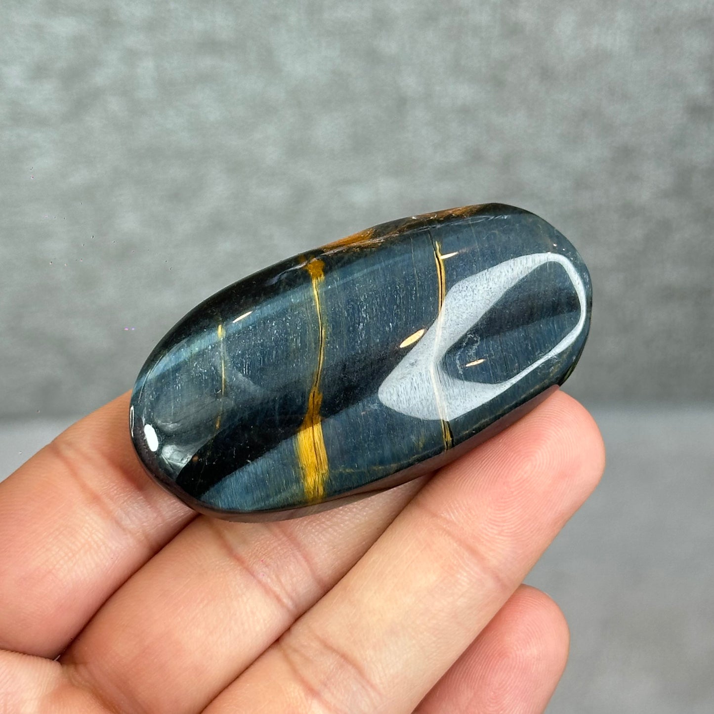 Natural Eagle Eye Palm Stone