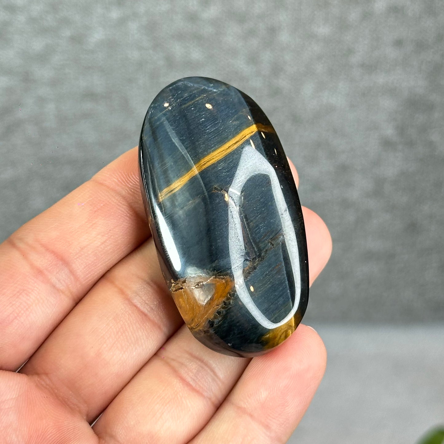 Natural Eagle Eye Palm Stone