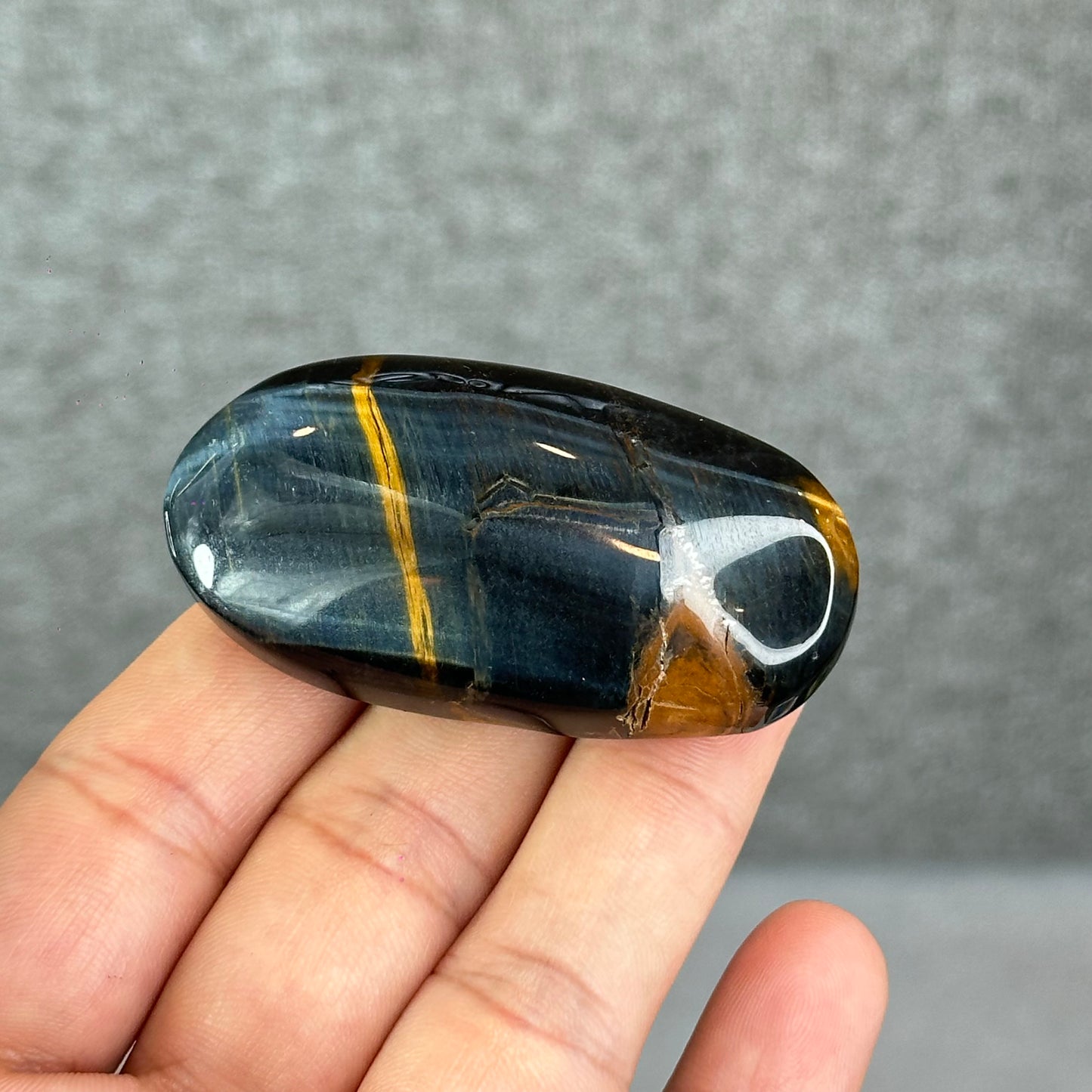 Natural Eagle Eye Palm Stone