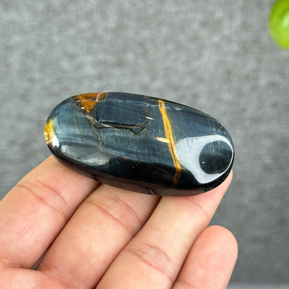 Natural Eagle Eye Palm Stone