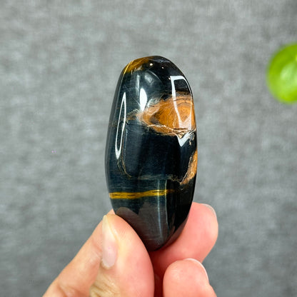 Natural Eagle Eye Palm Stone