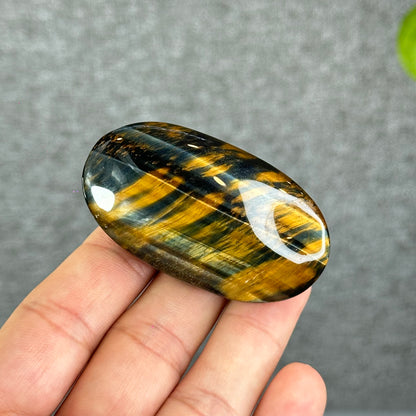 Natural Eagle Eye Palm Stone