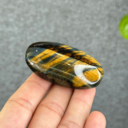 Natural Eagle Eye Palm Stone