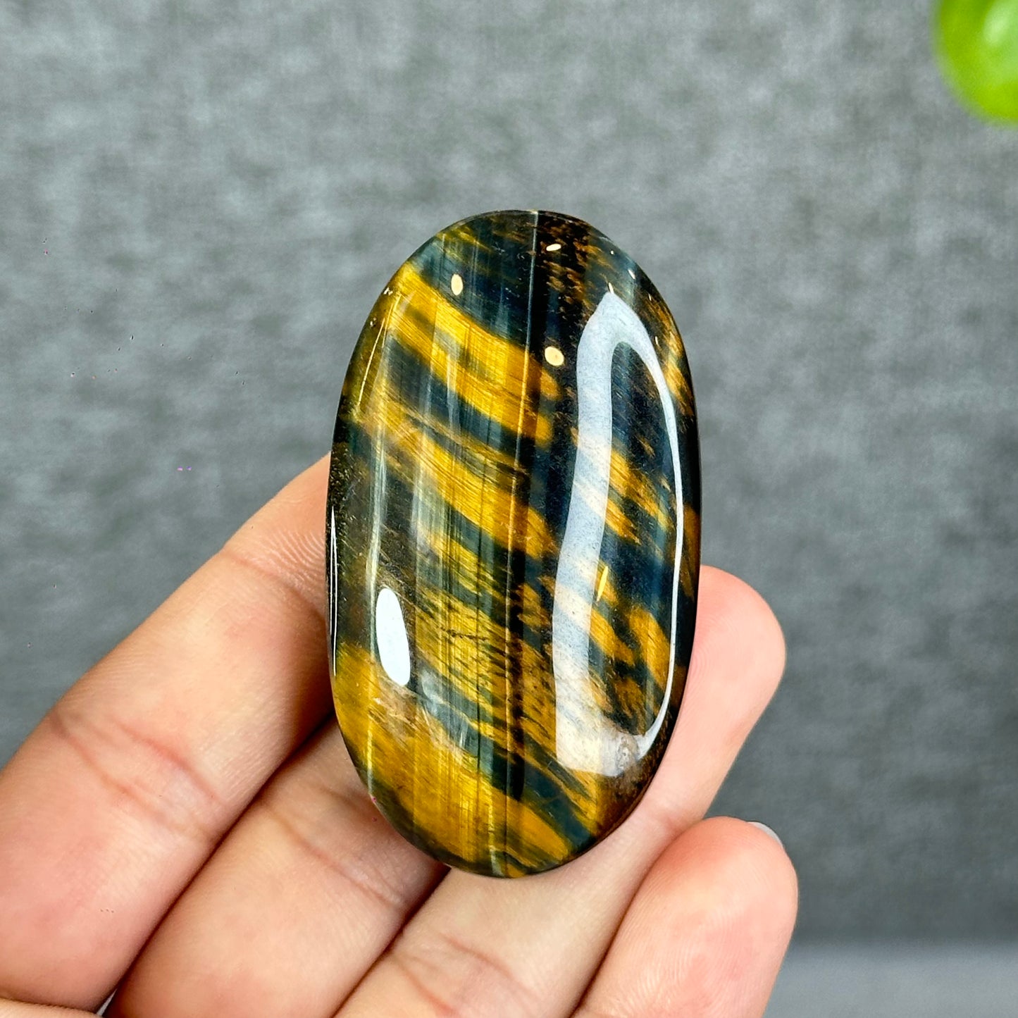 Natural Eagle Eye Palm Stone