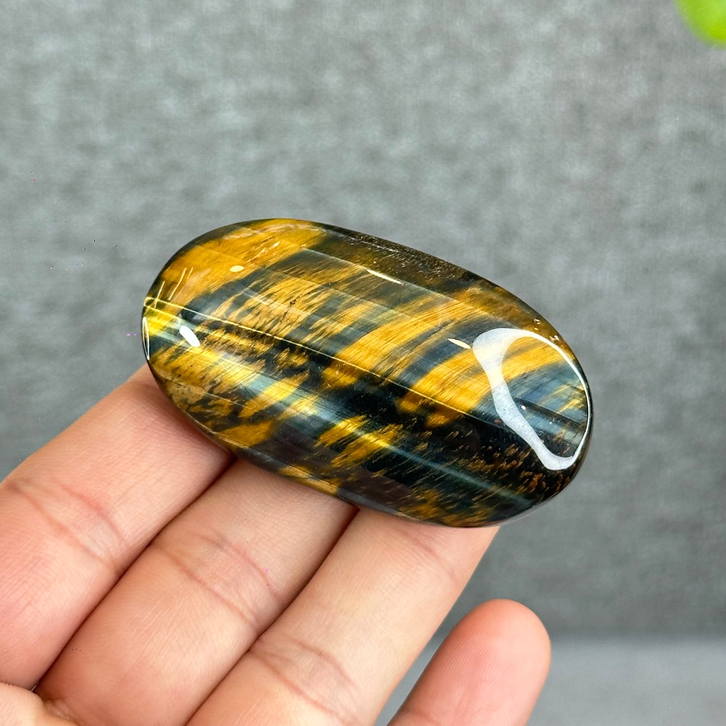 Natural Eagle Eye Palm Stone