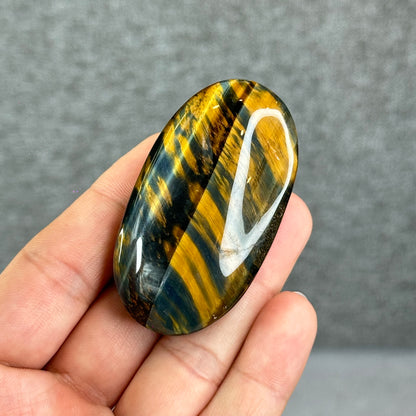 Natural Eagle Eye Palm Stone